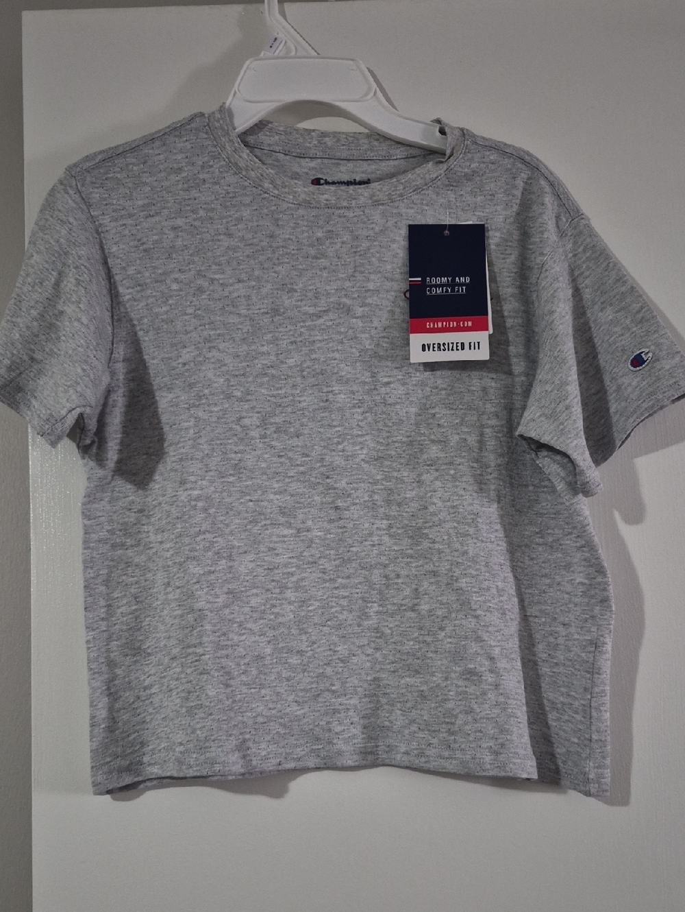 Champion  Gray Oversized Crewneck T-Shirt
